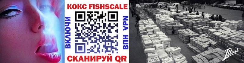 Купить закладки  Горнозаводск  Кокаин Fish Scale 