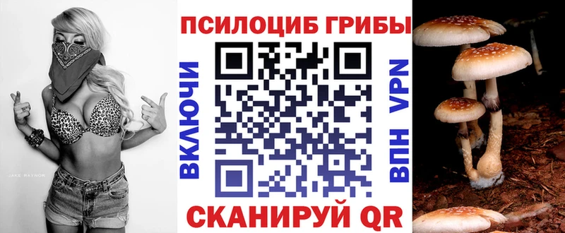 Купить закладки  Горнозаводск  Галлюциногенные грибы Psilocybine cubensis 